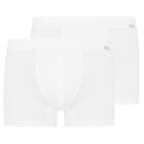 Hanro - Cotton Essentials - Pants - 2er Pack
